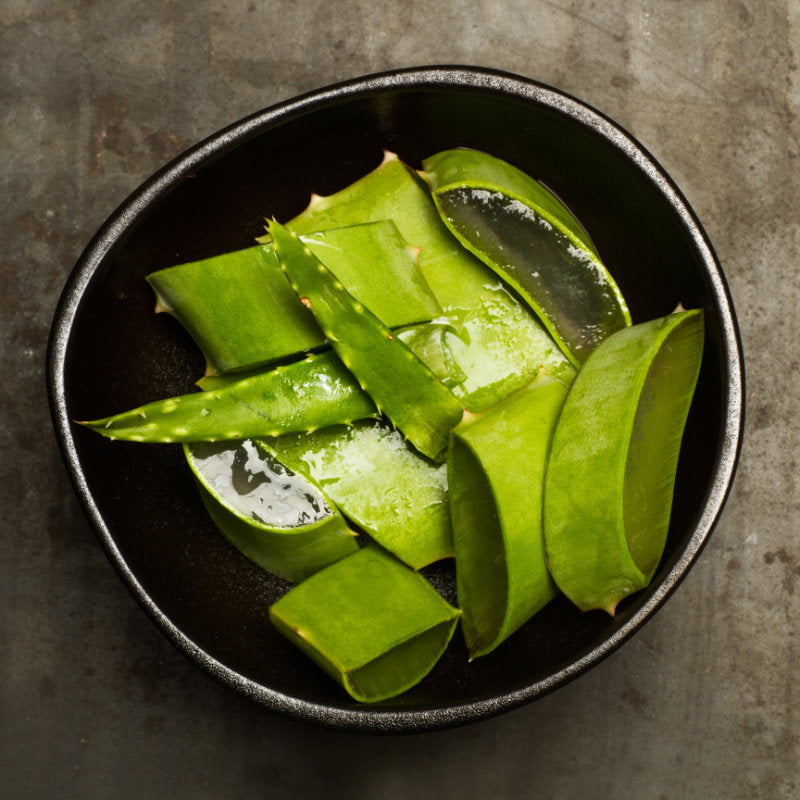 aloe vera